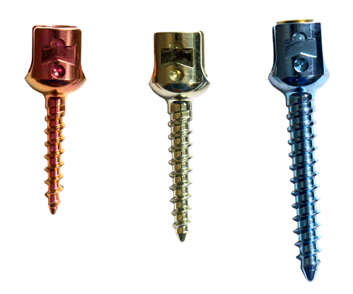 Spinal implants Spinal implants