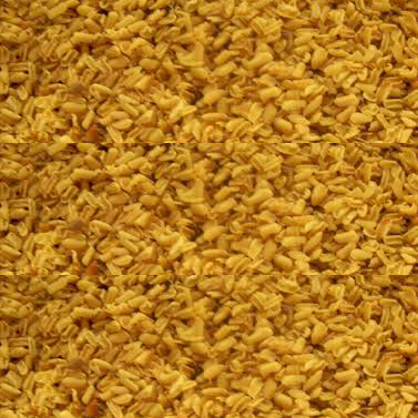 Cassiatora Seeds Cassiatora Seeds