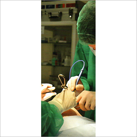Surgical Glove Surgical Glove