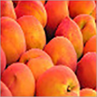 Frozen Peaches Frozen Peaches