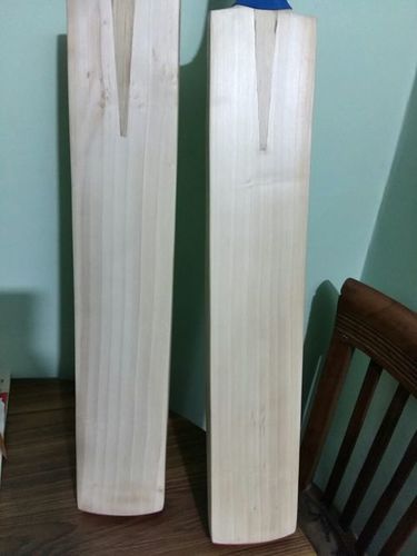 English willow bat English willow bat
