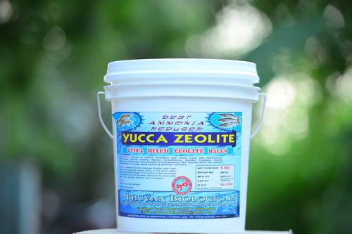 Yucca Zeolite Yucca Zeolite
