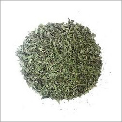 Dehydrated Mint Leaves Dehydrated Mint Leaves