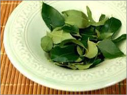 Curry Leaves Curry Leaves