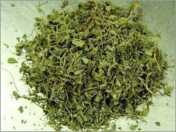 Dried Fenugreek Leaves (Kasturi Methi) Dried Fenugreek Leaves (Kasturi Methi)