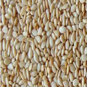 Sesame Seeds Sesame Seeds