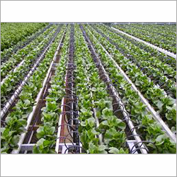 Drip Irrigation System Drip Irrigation System