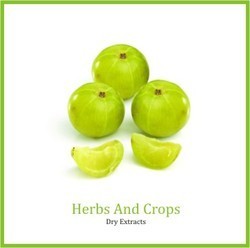 Amla Extract Amla Extract
