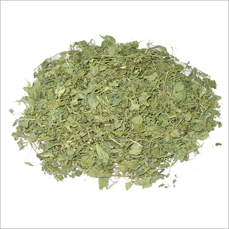 Fenugreek Leaves Fenugreek Leaves