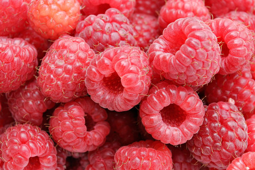 Raspberry Soft Drink Concentrate Raspberry Soft Drink Concentrate
