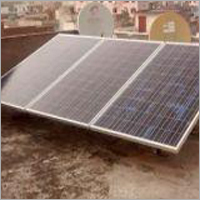 Rooftop Plant Rooftop Plant