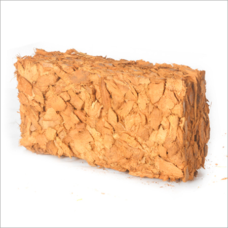 Coco Chips Coco Chips
