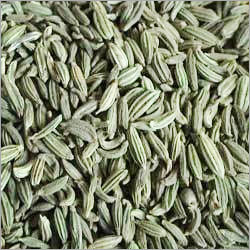 Fennel Seeds Flavor Fennel Seeds Flavor