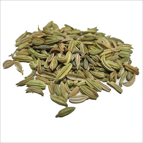 Fennel Seed Fennel Seed