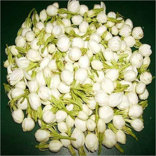Jasmine Attar Jasmine Attar