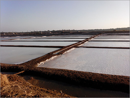 Evaporated Salt Evaporated Salt