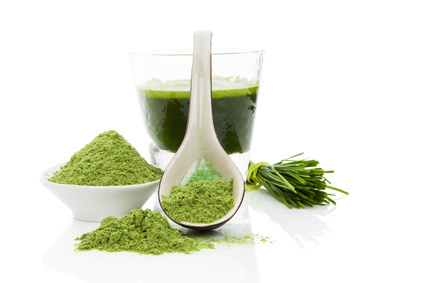 Wheat Grass Powder Wheat Grass Powder