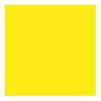 Pigment Yellow Pigment Yellow