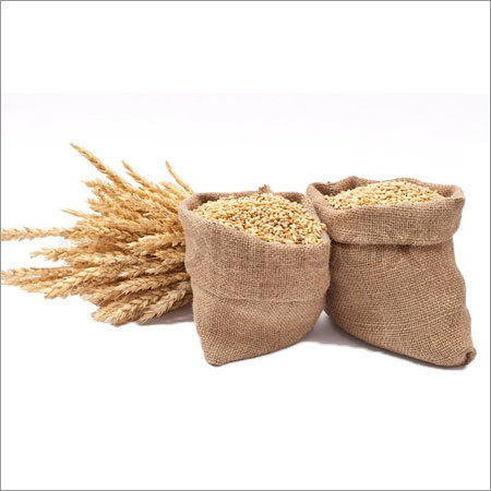 Organic Wheat Organic Wheat