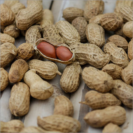 Raw Peanut Raw Peanut