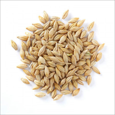 Whole Grain Barley Whole Grain Barley