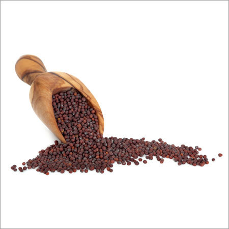 Black Mustard Seed Black Mustard Seed