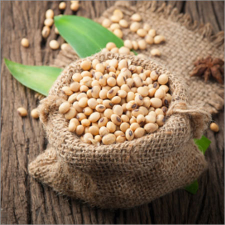 Raw Soyabean Raw Soyabean