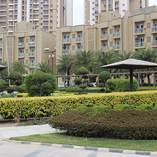 Landscape Refurbishment Service Landscape Refurbishment Service