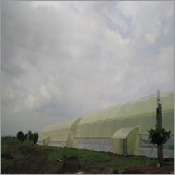 Naturally Ventilated Green House Naturally Ventilated Green House