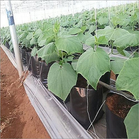UV treated Grow Bags UV treated Grow Bags