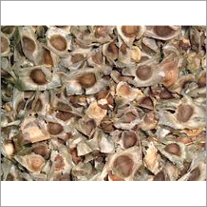 Moringa Seeds Moringa Seeds