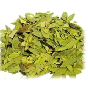 Senna Leaves Senna Leaves