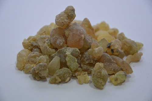 Frankincense Grade-1 Frankincense Grade-1
