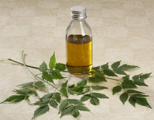 Cold Process Neem Oil Cold Process Neem Oil
