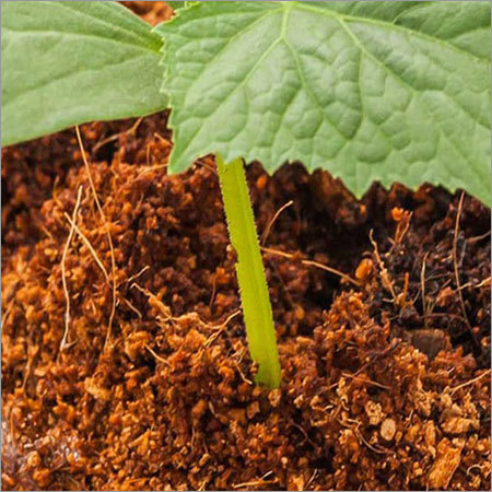 Coconut Coir Pith Coconut Coir Pith