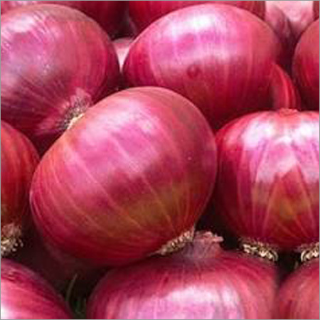 Red Onion Red Onion