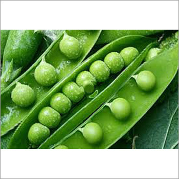Green Peas Green Peas