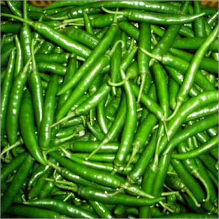 Green Chilli Green Chilli