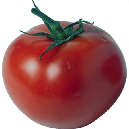 Fresh Tomato Fresh Tomato