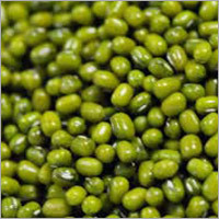 Green Mung Beans Green Mung Beans
