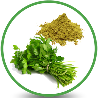 Coriander Leaves Powder Coriander Leaves Powder