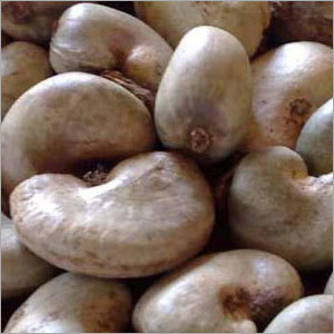 cashew nut international trade Raw cashew nuts, suppliers of raw gatl has been successful in making a dent in the international trade of commodities that we every single cashew nut comes. cashew nut international trade Raw cashew nuts, suppliers of raw gatl has been successful in making a dent in the international trade of commodities that we every single cashew nut comes.