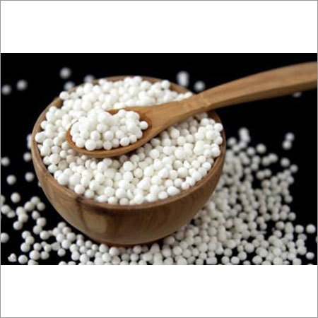 Sago Seeds Sago Seeds