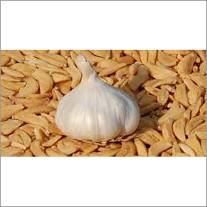 Dehydrated Garlic Flakes Dehydrated Garlic Flakes