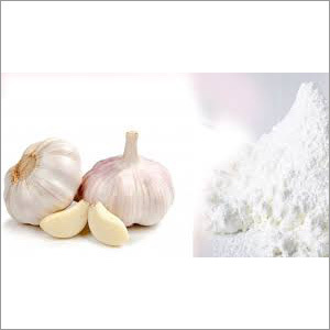 Dehydrated Garlic Powder Dehydrated Garlic Powder