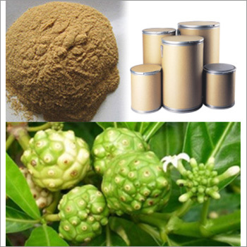 Noni Extract Noni Extract