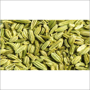 Natural Fennel Seeds Natural Fennel Seeds