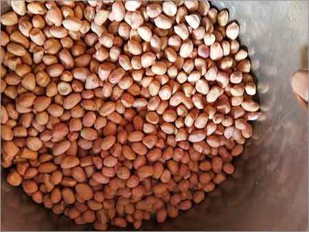 Fresh Groundnuts Fresh Groundnuts