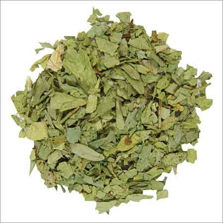 Senna Leaves Senna Leaves