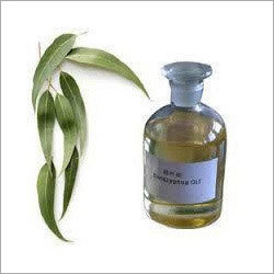 Eucalyptus Oil Eucalyptus Oil